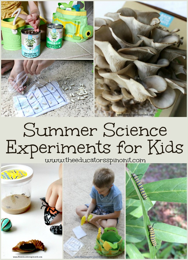 Best Summer Science Experiments for Kids