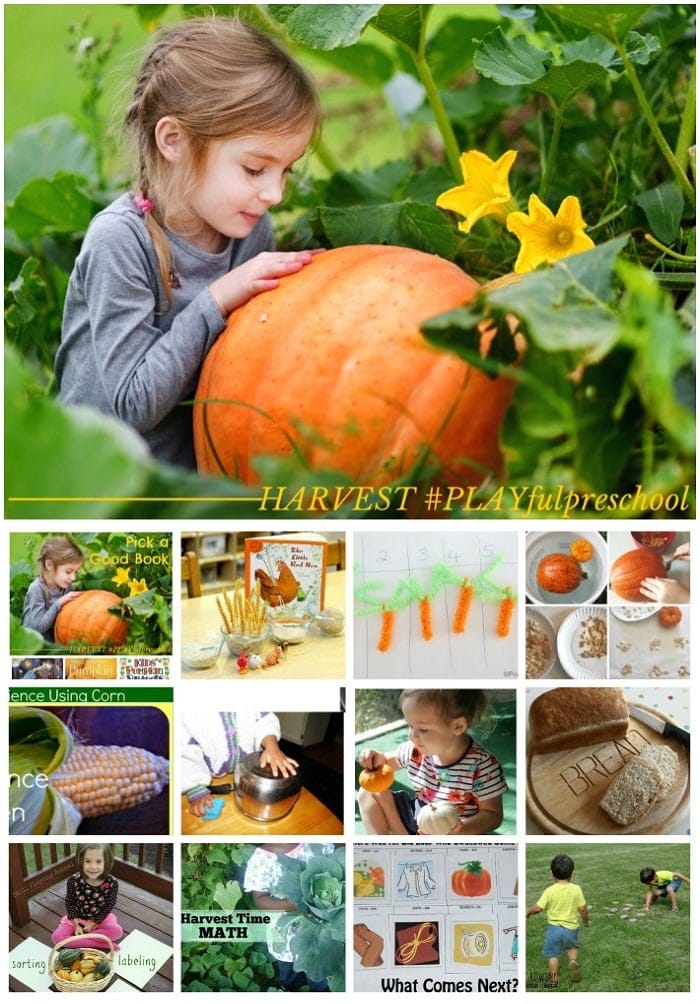 HARVEST Preschool Activities: A Social Studies Lesson