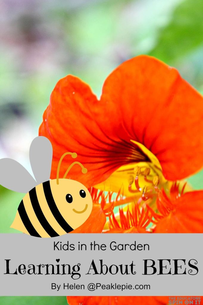 Garden Science: Learning about Bees in the Garden