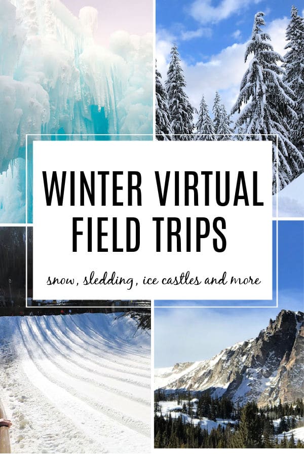 Winter Virtual Field Trips for Kids