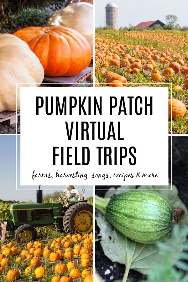 Virtual Pumpkin Patch Field Trips