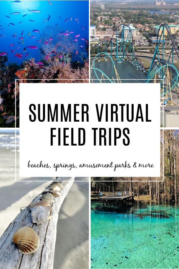 Summer Virtual Field Trips for Kids