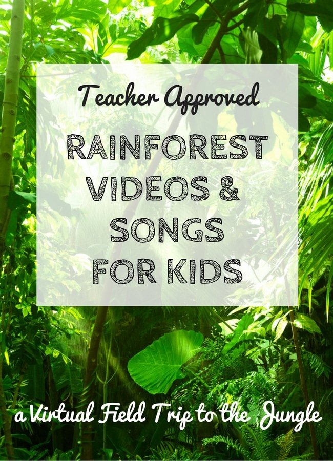 A Virtual Field Trip to the Rainforest with Videos and Songs for Kids